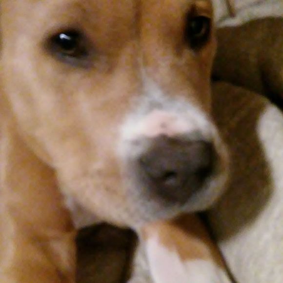 Meet your Posher, Bleu - Picture 1 of 1